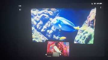 Finding Nemo The Live Action Remake ( Part 30)December 29, 2023