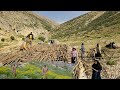 Nomadic life: 🏠building a summer shelter with wood | Nomadic lifestyle of Iran 🌄