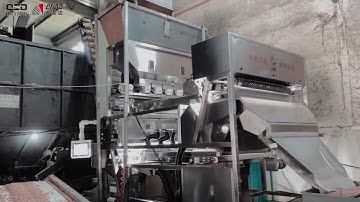 Peanut/groundnut color sorting/sortex/sorter machine #colorsorter #sorting #sortex