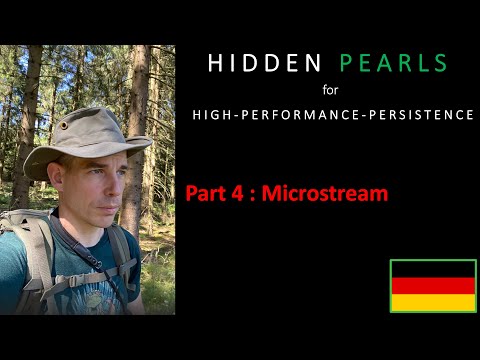 Serie High-Performance-Persistence - 04 - Microstream
