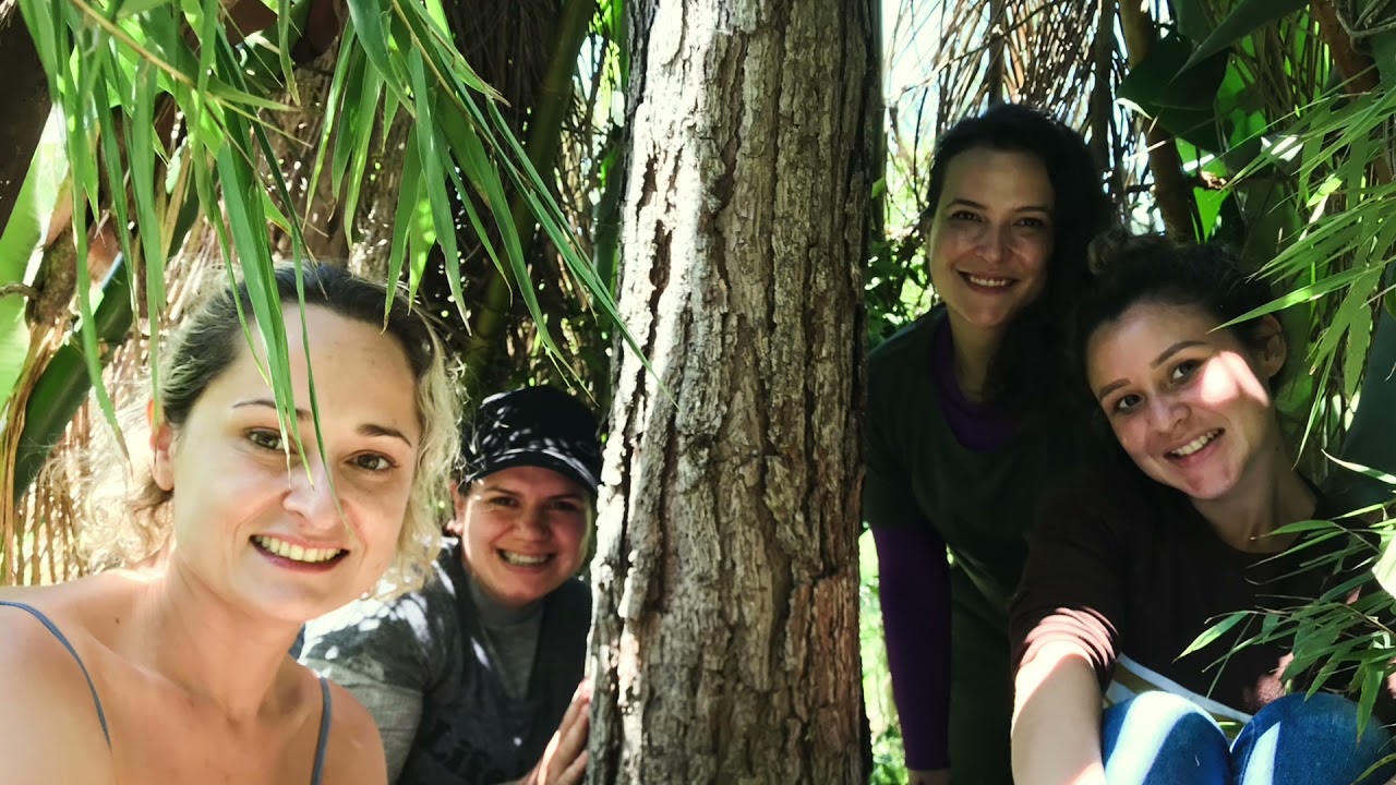 SOB CMS04 21/11/2021