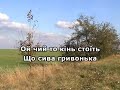 ОЙ ЧИЙ ТО КІНЬ СТОЇТЬ КАРАОКЕ гурт ЕКСПРЕС