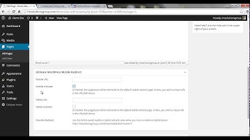 Watch How The Ultimate Wordpress Mobile Redirect Works!