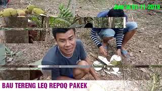 BAU TERENG LEQ LENDANG SEPAKEK