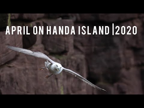 Video: April på Island: Väder- och evenemangsguide