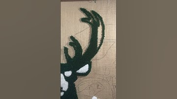 Who’s that carpet?