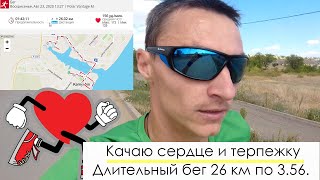 Качаю сердце и терпежку. Длительный бег.  26 км по 3.56. Пульс 156.