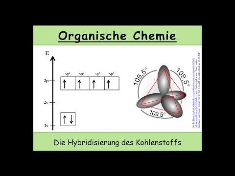 Video: Wie ähneln sich Hybridisierung und Inzucht?