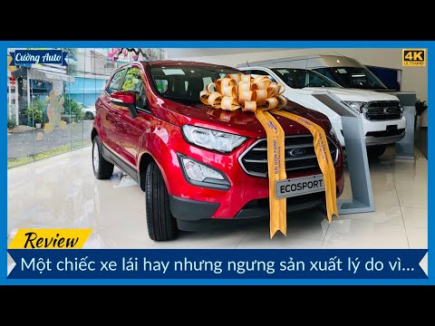 Video: Gia đình Ford sở hữu bao nhiêu chiếc Ford?