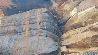 जगल म पहड स असल शलजत नकलत हए Shilajit Vaidya Vikas Mangal 7014415950