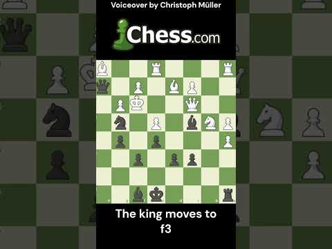 Checkmate in 7 moves! #shorts