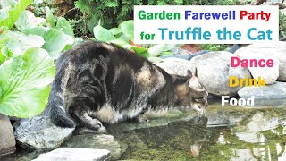 27 Garden (farewell) party for Truffle the Cat - food, drink & music. Viene Mi Gente Feel like woman by Truffle CF 32 views 2 years ago 8 minutes, 29 seconds