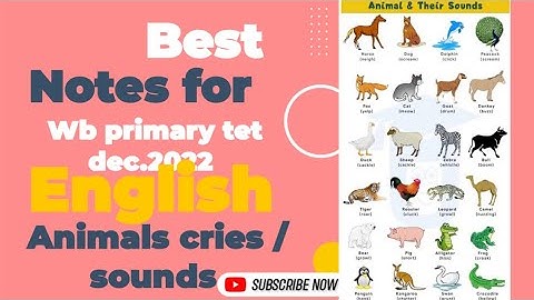 Wb primary tet dec.2022 ll English ll Animals sound ll a brief notes