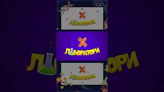 #XLab #DreamTV