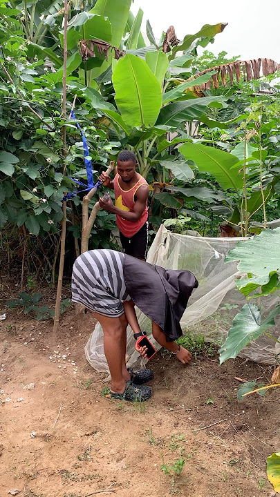 #dj #electronicmusic #music #housemusic