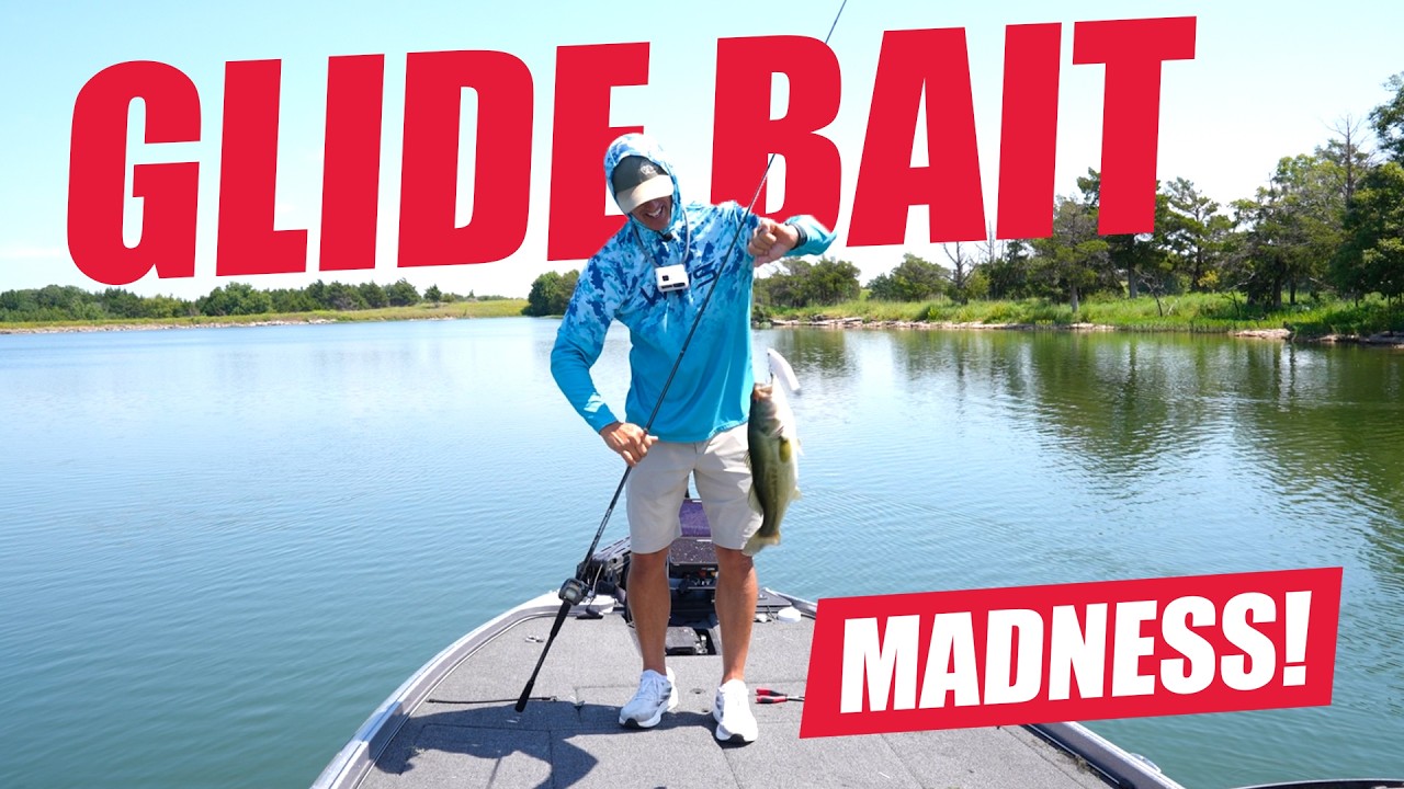 My Favorite New Glide Bait!