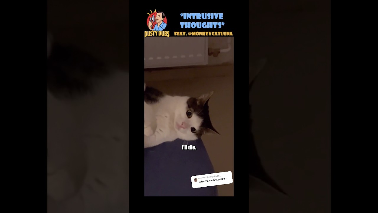 YouTube에서 💭 Intrusive Thoughts 1 feat @CrunchycatLuna #shorts 보기 YouTube에서 💭 Intrusive Thoughts 1 feat @CrunchycatLuna #shorts 보기