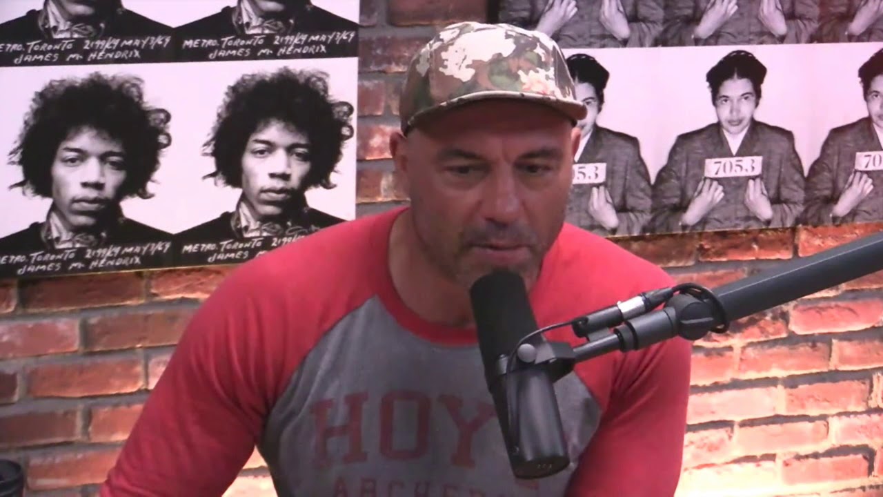 Joe Rogan - Google's Gender Pay Gap