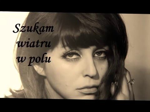 Szukam wiatru w polu