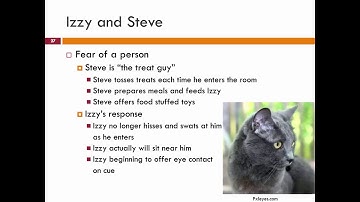 Behavior Modification for Cats: 11. Counter Conditioning - class