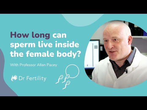 How Long Can Sperm Live Inside The Female Body? | #spermbanter | Dr Fertility
