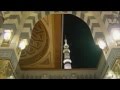       هاني شاكر أنا تبت عن ذنبي