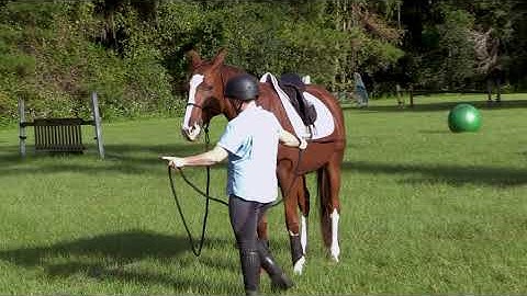 Star Pole Exercise Video