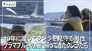 A man who has watched over whales for 40 years: Whales return to