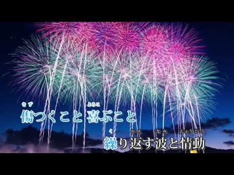 『一人で歌ってみた♪』打上花火