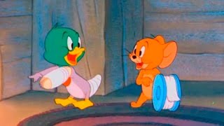 Cartoon fragment tom and jerry - the duck doctor is a 1952 one-reel
animated 64th directed by william hanna jose...