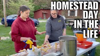 Learning On The Homestead Chicken Butcher Day