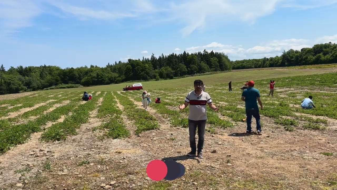 കൊയ്ത്തു വളരെ ഉണ്ട്, ദൈവത്തിന് വേണ്ടി പ്രവർത്തിക്കുക|Pr. Rinjo Rajan||