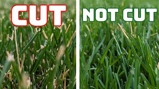 Impact Of Cold Weather On Cultural Lawn Care Practices