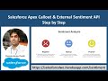 Salesforce Apex Callout &amp; External Sentiment API Step by Step