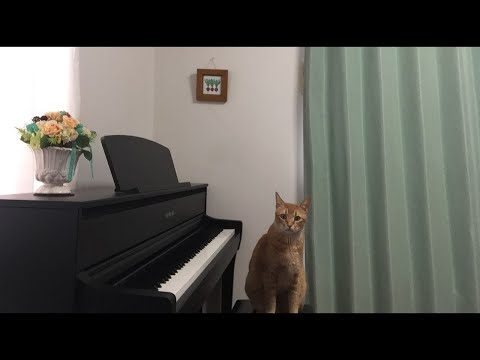 懐メロをピアノ伴奏で歌ってみよう！「春よ来い」いづみmusic