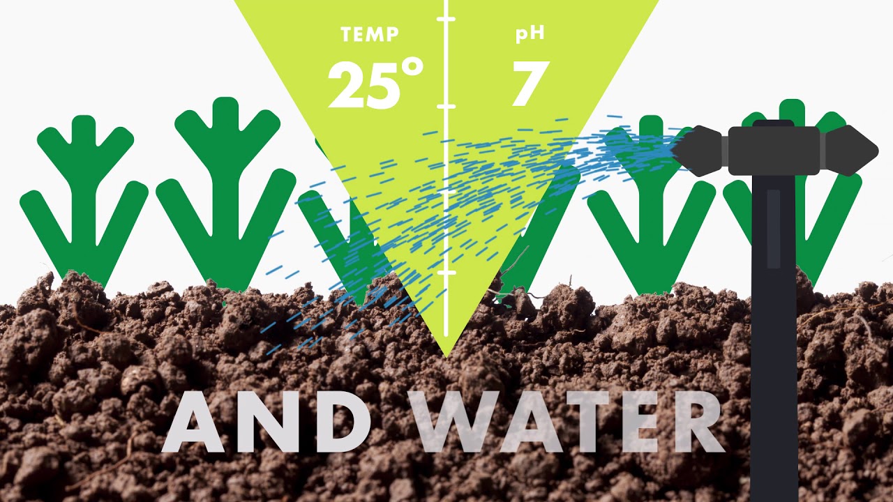 APAL Agricultural Laboratory - What We Do
