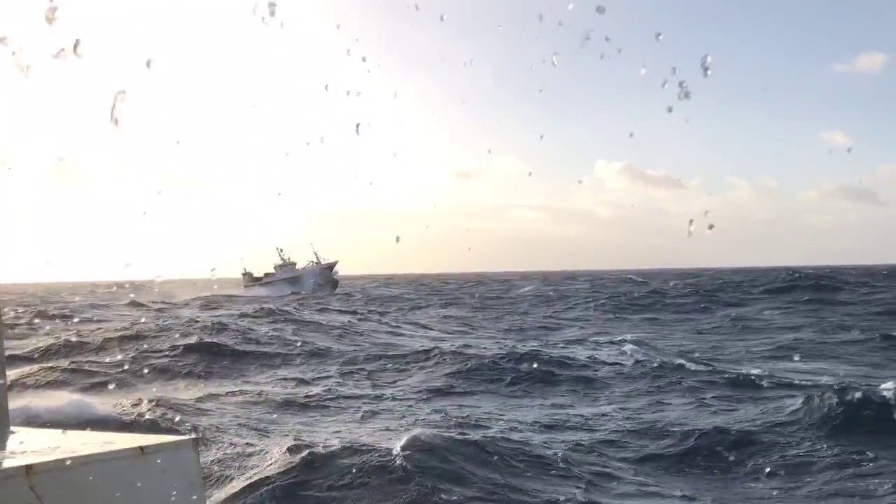 Kingfisher HM555 in rough weather YouTube