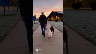 LIMOUSINE RIDING-PEACE FROM THE NORTHEASTTHE HBOMB MAN PLEASE SUB??!!