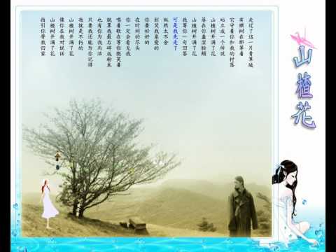 陈楚生 山楂花  电影《山楂树之恋》宣传曲