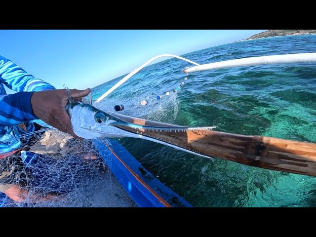 How to Land a Fish from a Pier using a Drop Net 