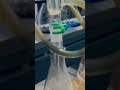 Crude Protein Determination by Kjeldahl’s Method in Protein powder,DDGS, DOC, DORB, Animal feed,etc.