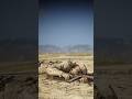Ghost recon breakpoint
