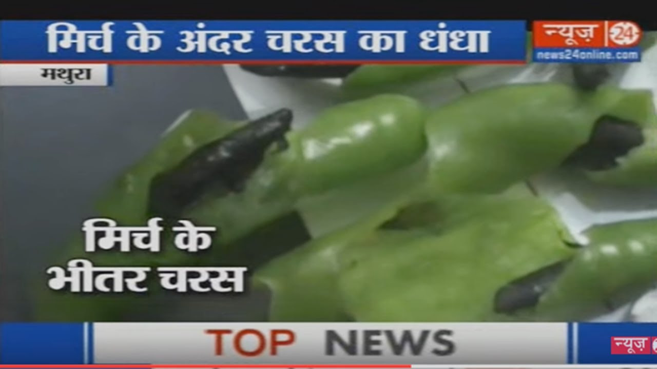 Mathura Jail  Marijuana hidden within Green chillies was supplied in prison