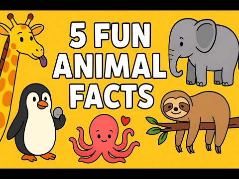 5 Super Fun Animal Facts That Will Blow Your Mind! 🐒🦁🦉 - YouTube