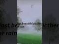 most beautiful picthers for rain 🌧️☔  #trending #youtubeshorts #effect #shortsfeed