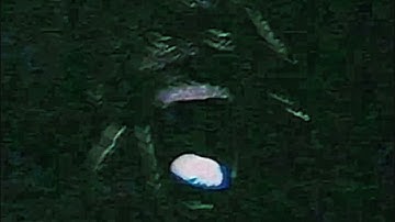 67 kid analog horror (VHS more HD)