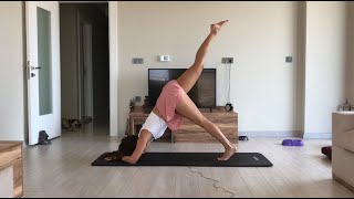 Matta Tüm Vücut Egzersizi Dört Bacak Dengeleri