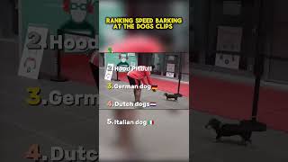 ranking ishowspeed barking at the dogs  #trending #ishowspeed