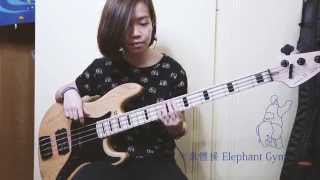 大象體操 - 銀河 Bass Cover chords