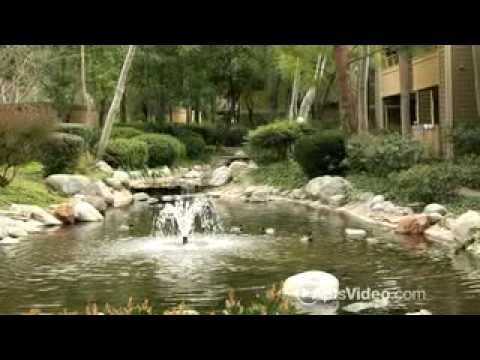 River Oaks Apartments Lake Forest Ca River Oaks Apartments Lake Forest Ca